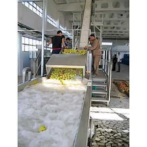 Mango processing complete production line turnkey project