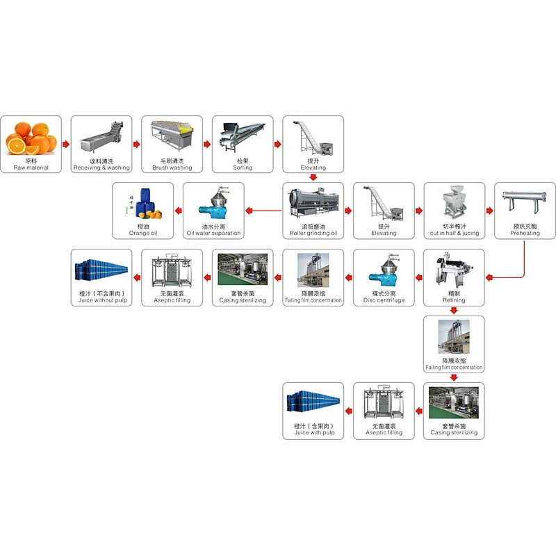Orange,citrus,lemon processing complete production line turnkey project