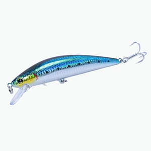 Wollet 60g sea fishing submerged Minoruya hard bait bionic sea fishing bait