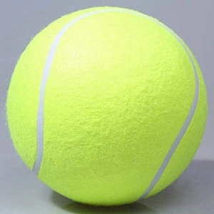 Wollet 24cm 9.5 inch inflatable pet tennis toy bite ball