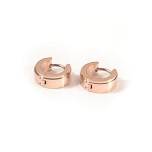Wollet Wholesale Fashion Gold Plated 316L Stainless Steel Earring