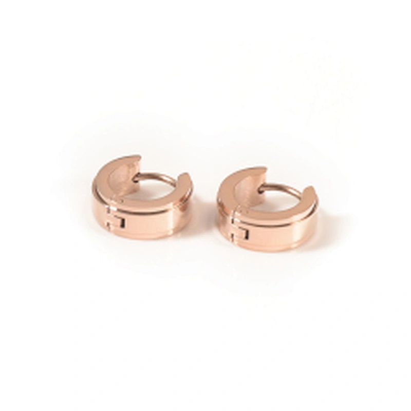 Wollet Wholesale Fashion Gold Plated 316L Stainless Steel Earring