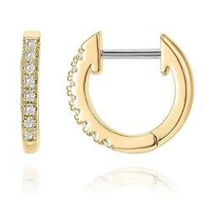 Wollet New Design Zircon Earrings Stainless Steel Earring Diamond Earrings