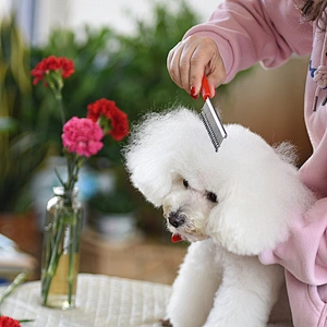 Long & Short Stainless Steel Teeth Dog & Cat pet Grooming Pet hair Comb for Removing Matted Fur, Knots & Tangles