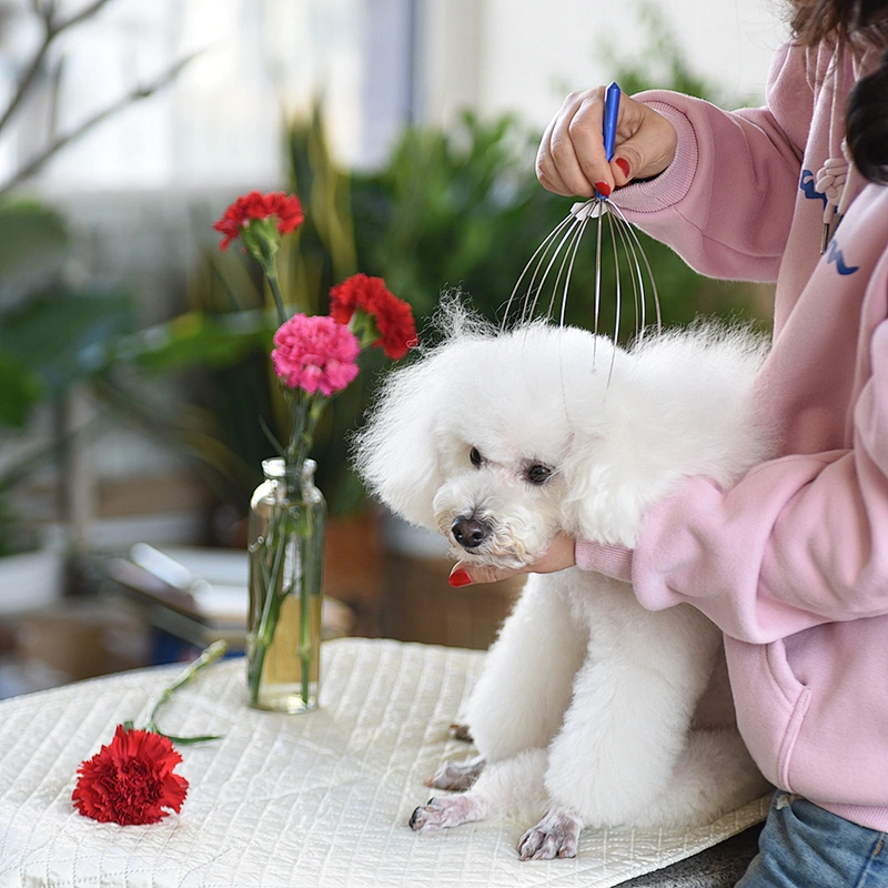 Unique Pets' Magnetic Beads Scalp Massagers Scratcher for Deep Relaxation Hair Stimulation and Stress Relief