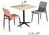 dining table with metal