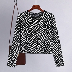Winter short long sleeve round neck pullover sweaters women blouse loose thin knit oversized sweater