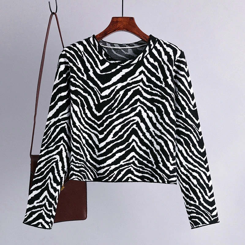 Winter short long sleeve round neck pullover sweaters women blouse loose thin knit oversized sweater