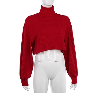 Winter fashion long sleeve high neck casual girl crop sweater for women
