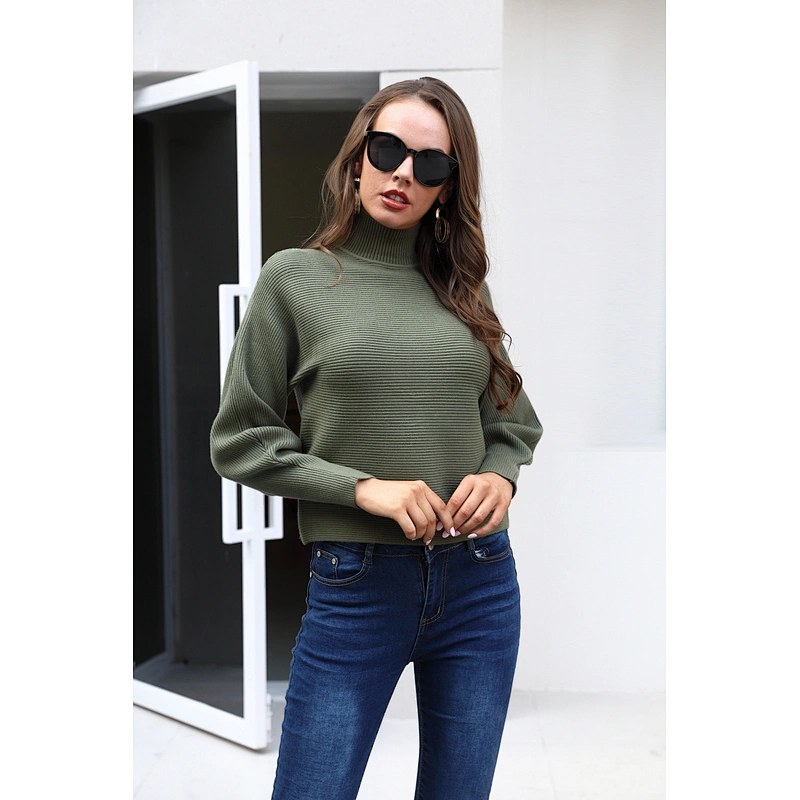 Women winter custom crop oversized turtle neck sweater women knitted tops plus size sweaters