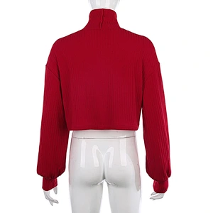 Winter fashion long sleeve high neck casual girl crop sweater for women