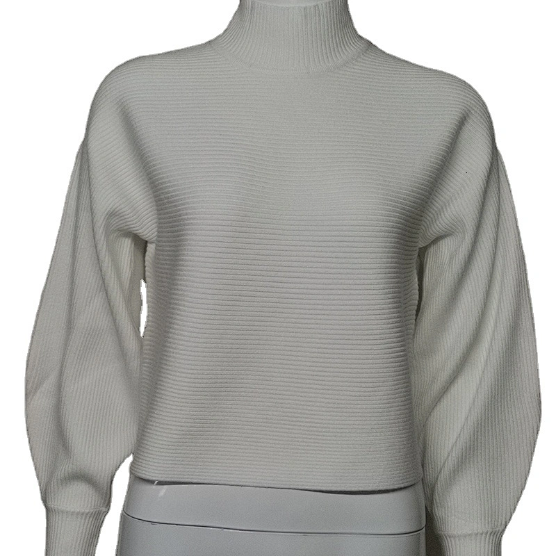 Women's Casual Loose Knitted Sweater Tops  Autumn Women Clothing Turtle Neck Top