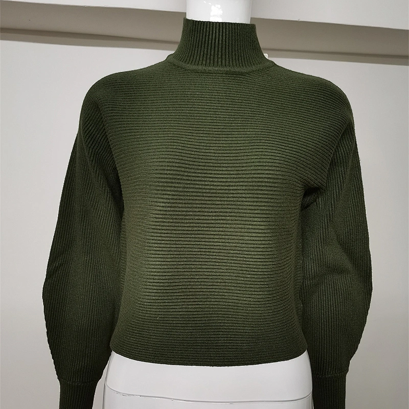 Women's Casual Loose Knitted Sweater Tops  Autumn Women Clothing Turtle Neck Top