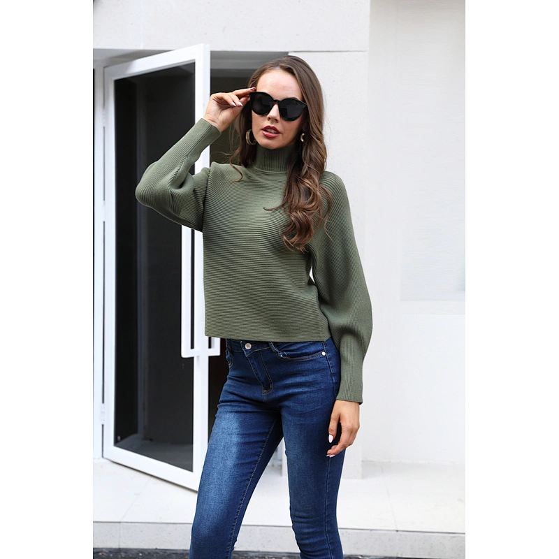 Women winter custom crop oversized turtle neck sweater women knitted tops plus size sweaters