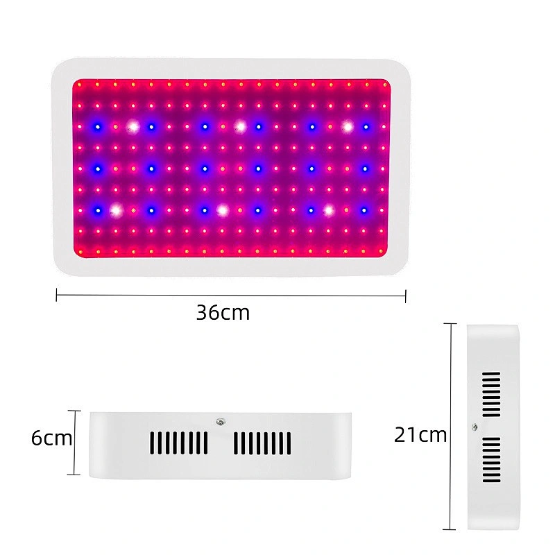 Indoor Plants Veg And Flower 1500W Greenhouse Full Spectrum Grow Lamp For Succulents