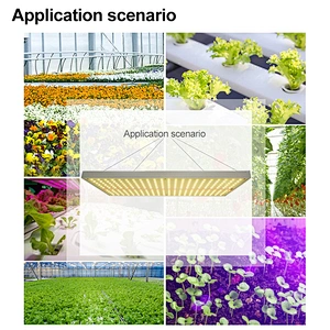 Indoor Grow Lights For Succulents 100 Watt Full Spectrum Waterproof LED Grow Light
