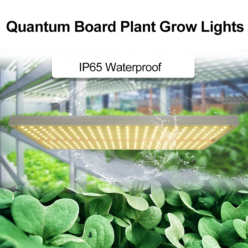 LED Grow Lights For Tomatoes LED Dimmable Horticture Hydroponic Light Plant Light