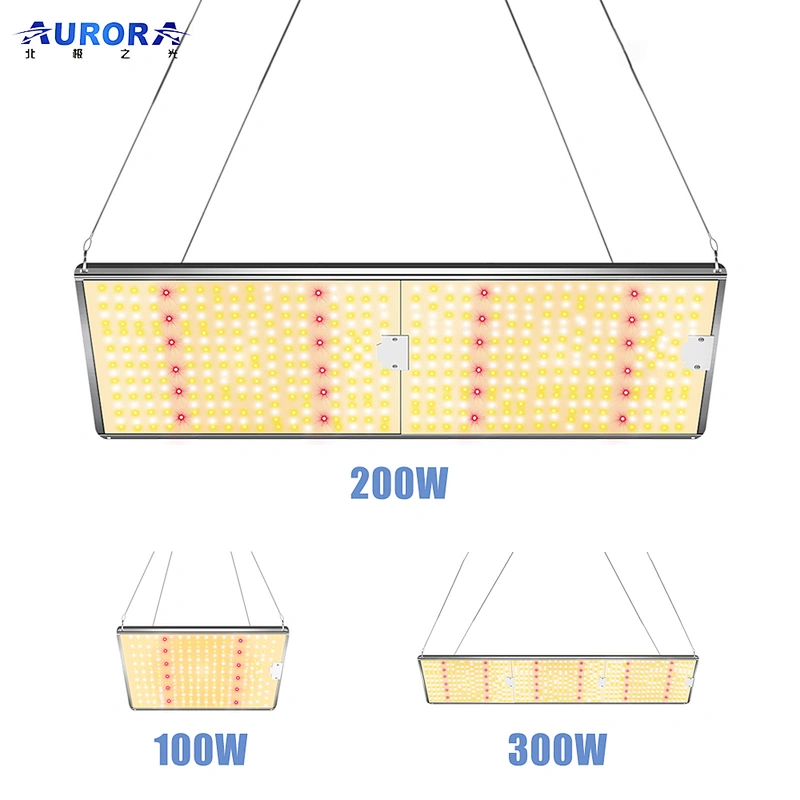 100W LED Grow Light Full Spectrum LED 200 Watt Aluminum Alloy Greenhouse Grow Light