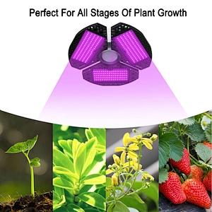 Indoor Lighting For Tomato Plants Full Spectrum 60W Plant Light  For Indoor Cultivation