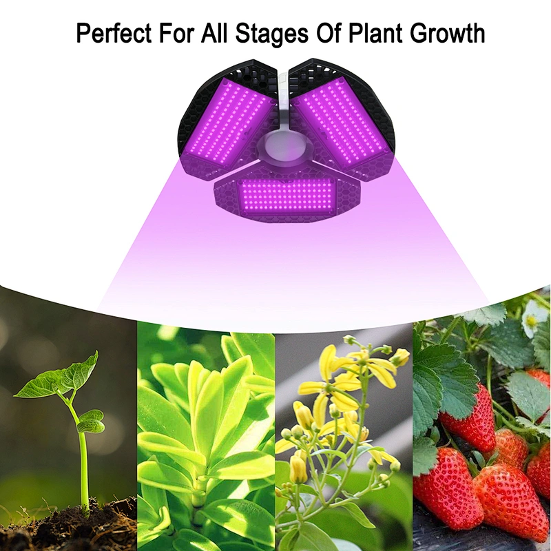 Indoor Lighting For Tomato Plants Full Spectrum 60W Plant Light  For Indoor Cultivation