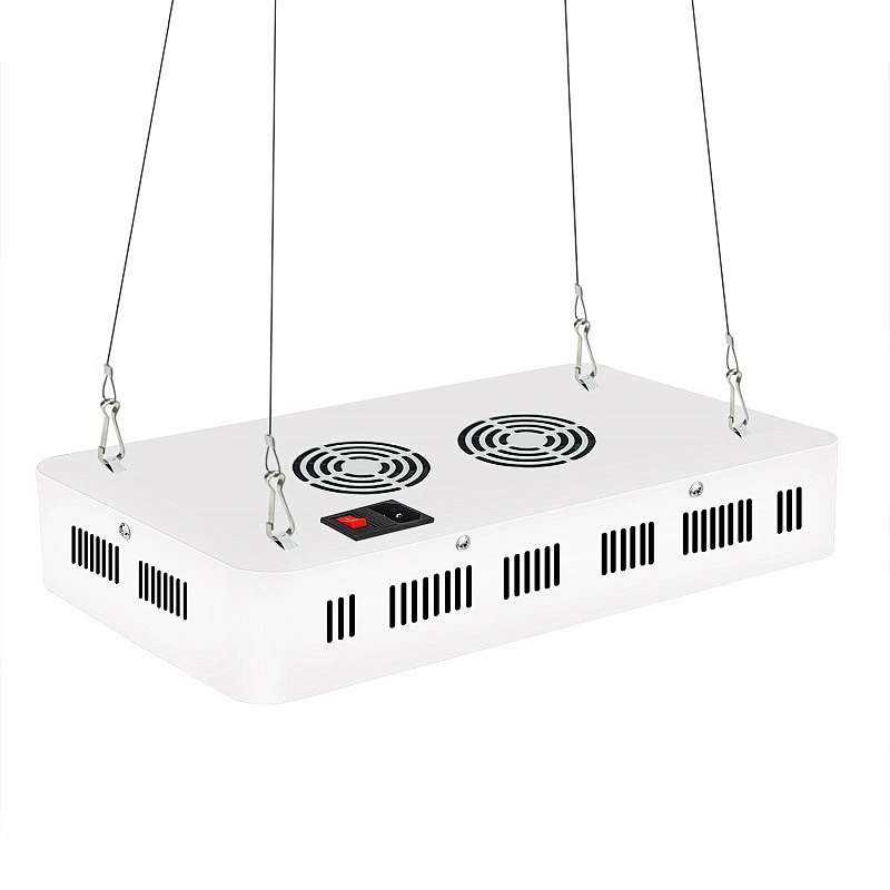 Indoor Plants Veg And Flower 1500W Greenhouse Full Spectrum Grow Lamp For Succulents