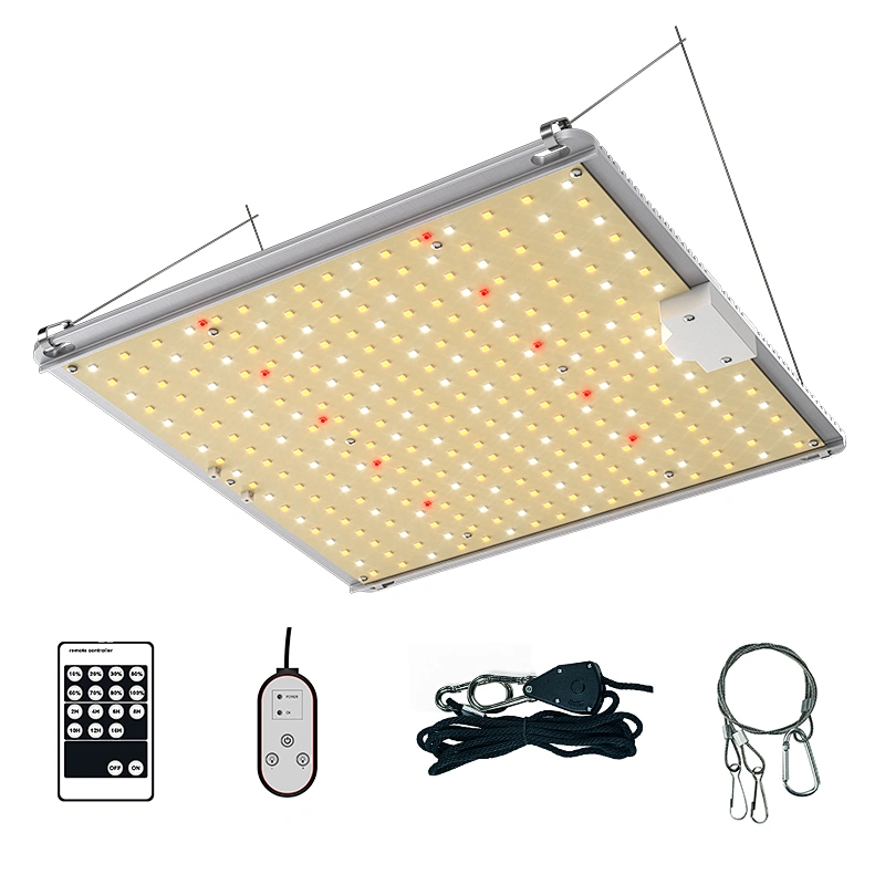 Best Vegetative Led Grow Light 100 Watt Aluminum Alloy Greenhouse Growing Lights For Indoor Plants