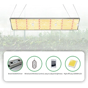 Full Spectrum Quantum Grow Lights Osram LED 300 Watt Vertical Farming Plant Light