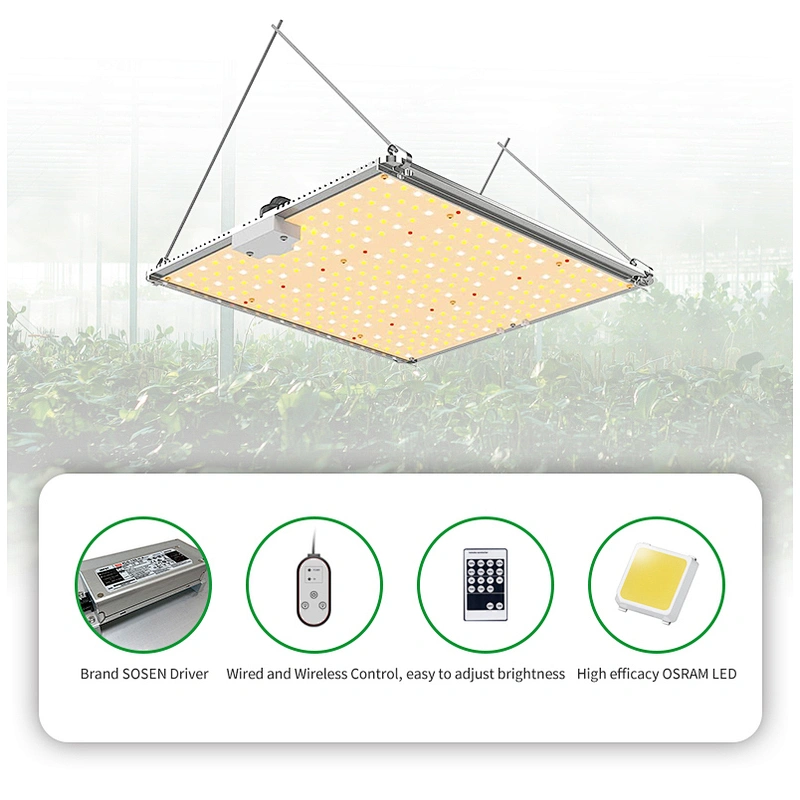 Best Vegetative Led Grow Light 100 Watt Aluminum Alloy Greenhouse Growing Lights For Indoor Plants