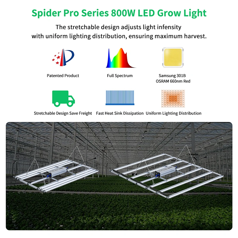 Wholesale 800w LED Grow Light - Aurora