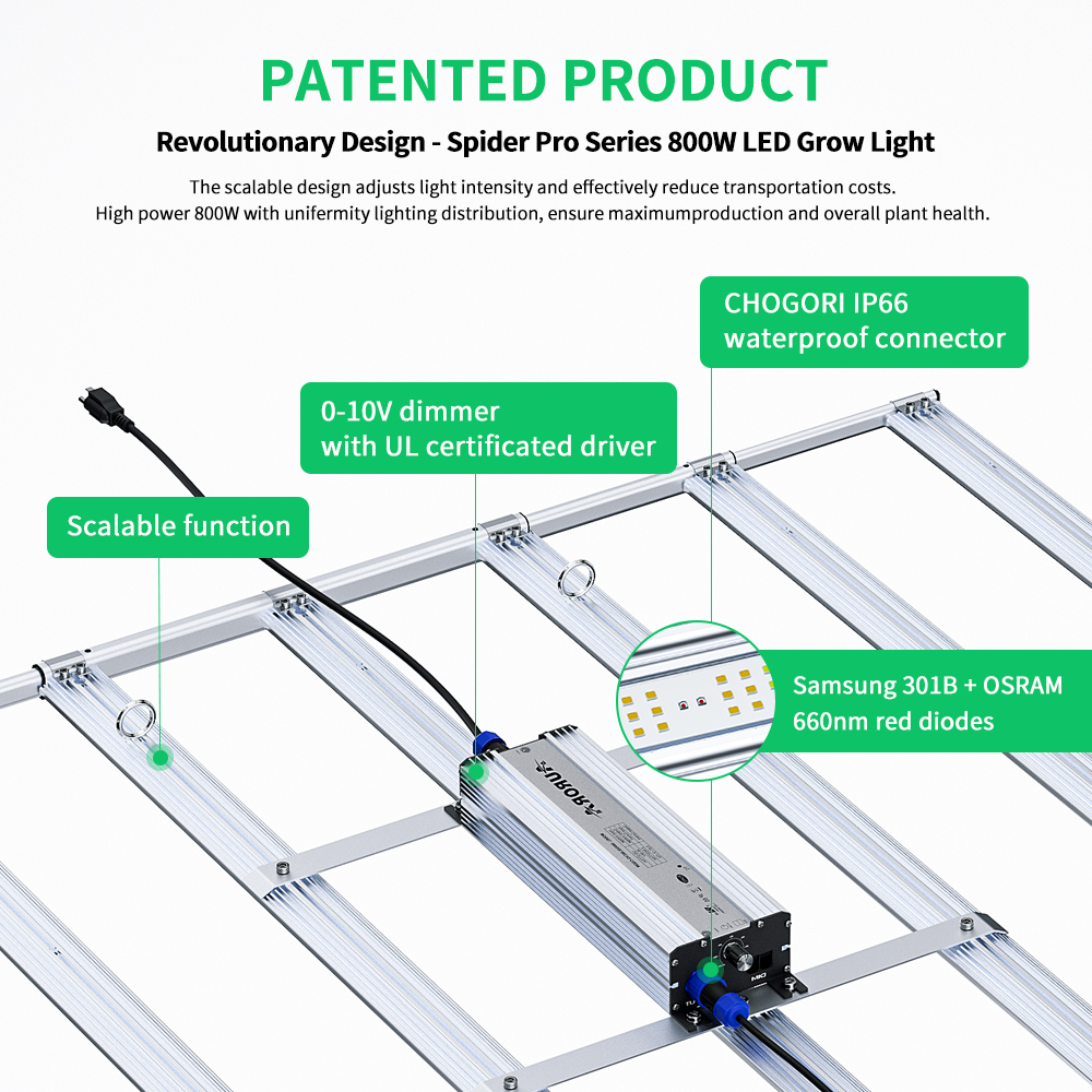 quantum board LED grow light