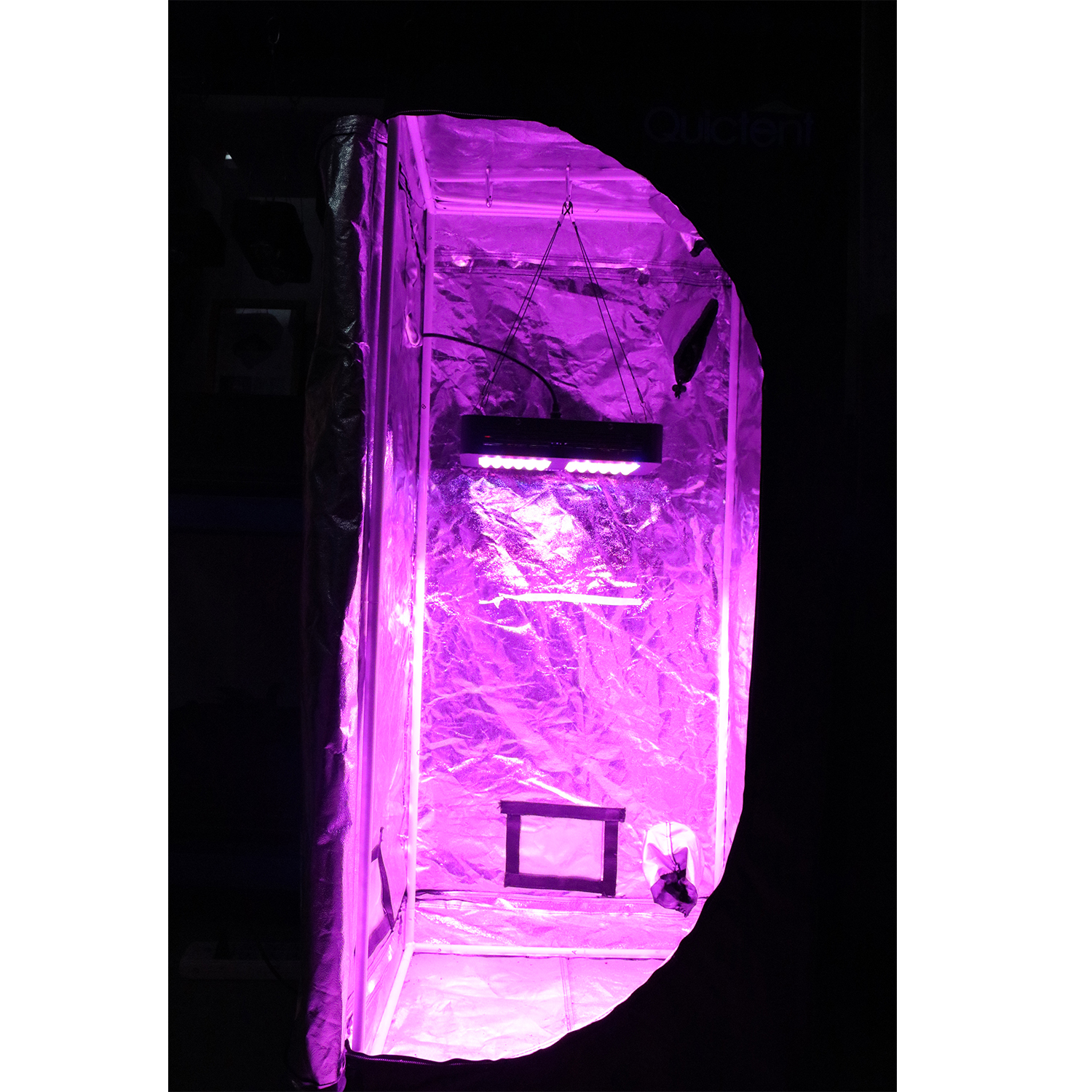 Light For Aloe Plant company