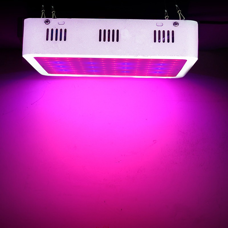 Hanging Grow Lamp supplier