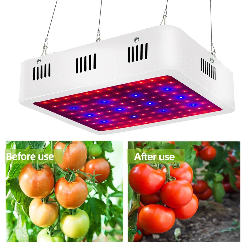 Adjustable Spectrum Led Grow Lights company