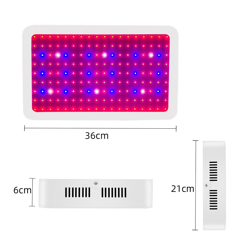 Grow Lamp For Succulents China