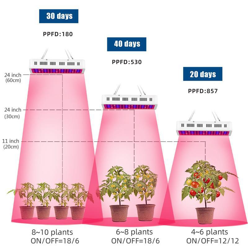 Grow Lamp For Cactus for sale