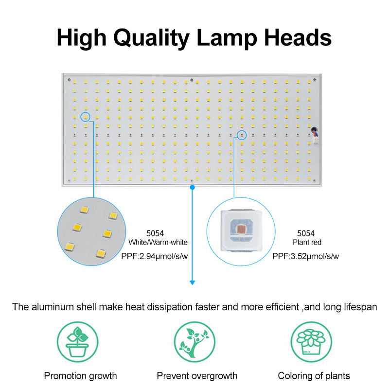 Grow Light For Citrus Tree manufacturer