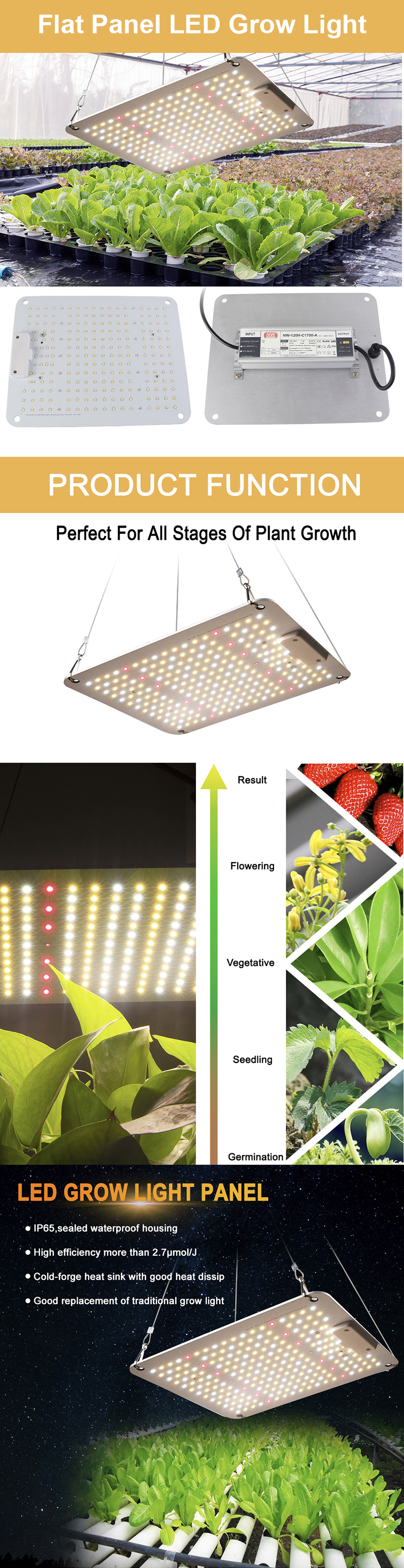 Cheap Grow Lights supplier