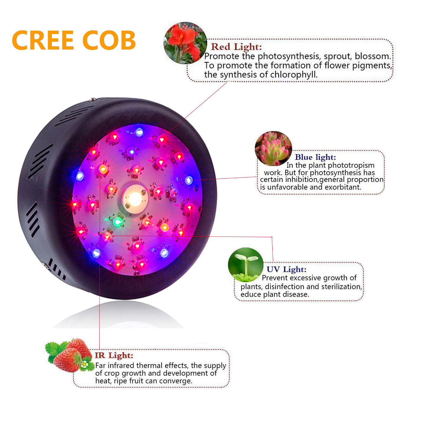 Single Cob Grow Light manufacturer