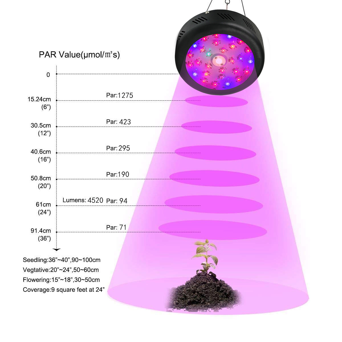 Cob Grow Light China