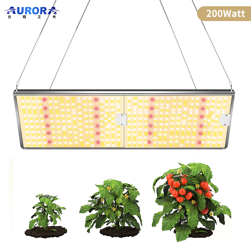 Best 300 Watt Grow Light manufacturer