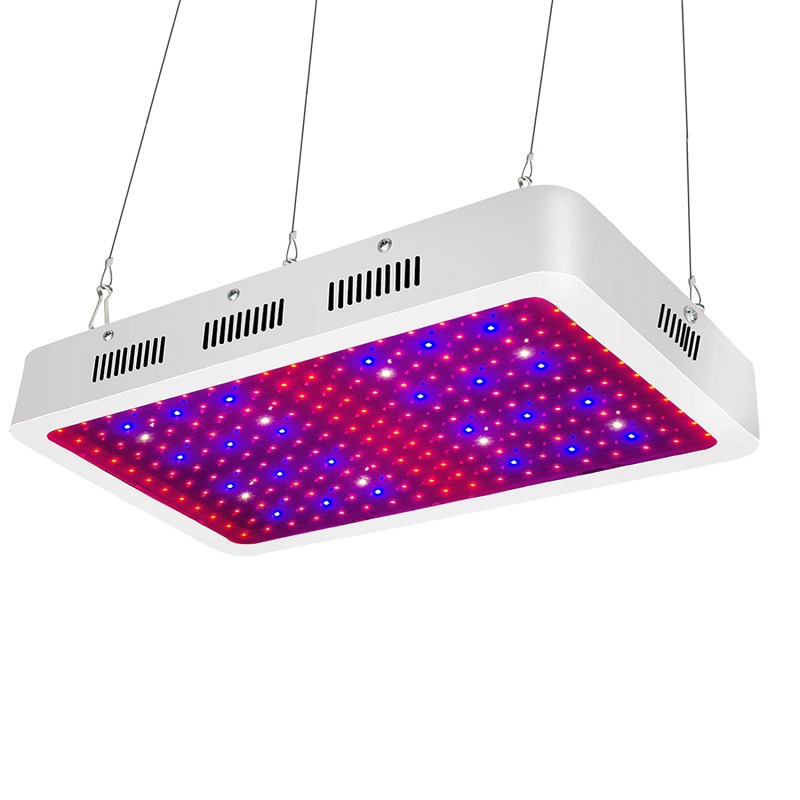 Grow Light For Banana Tree company
