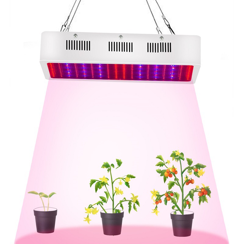 3X3 Led Grow Light supplier