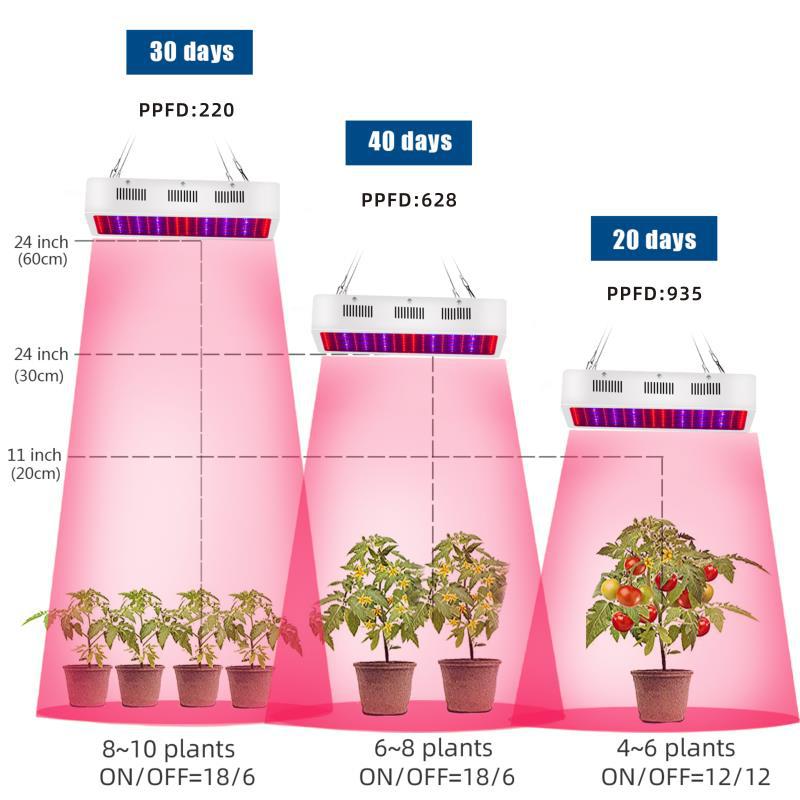 Grow Light For Banana Tree China