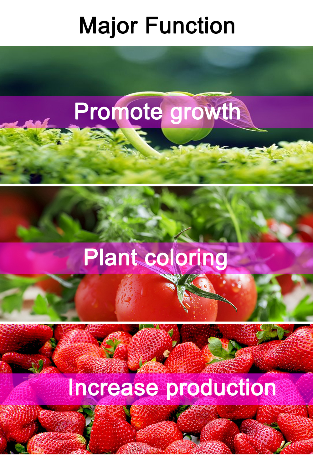 Indoor Lighting For Tomato Plants factory