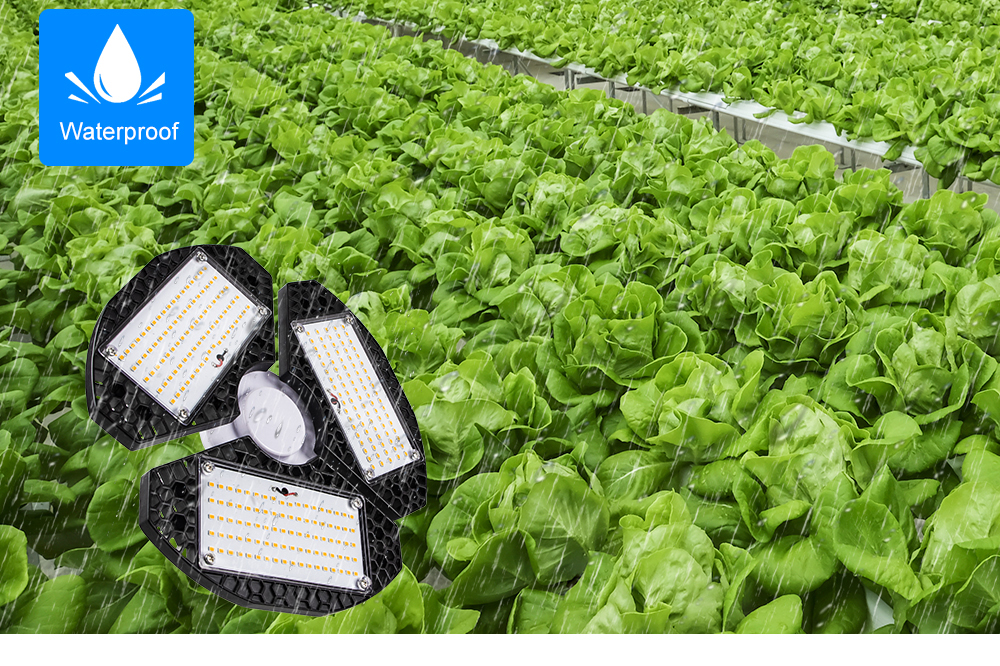 Grow Light For Peppers wholesale