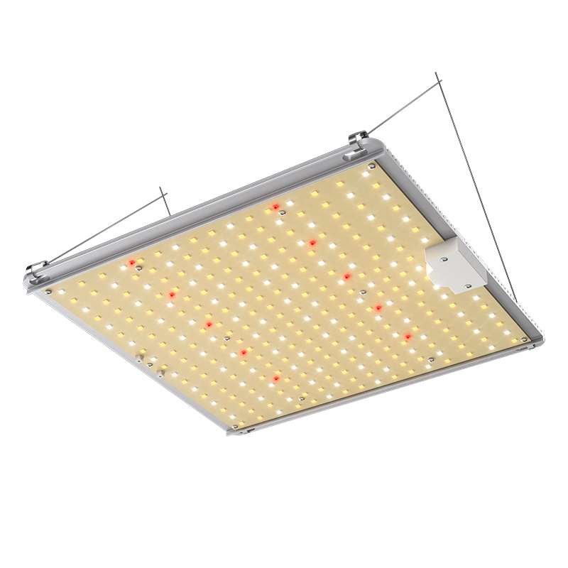 best vegetative LED grow light