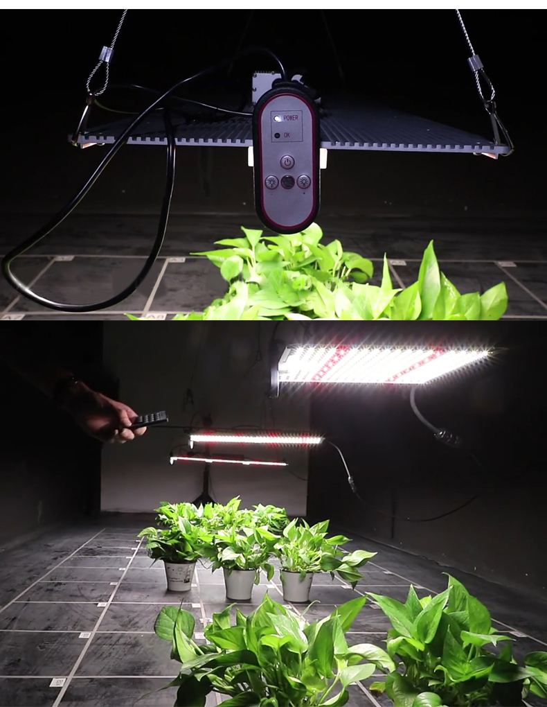 High Par Led Grow Light