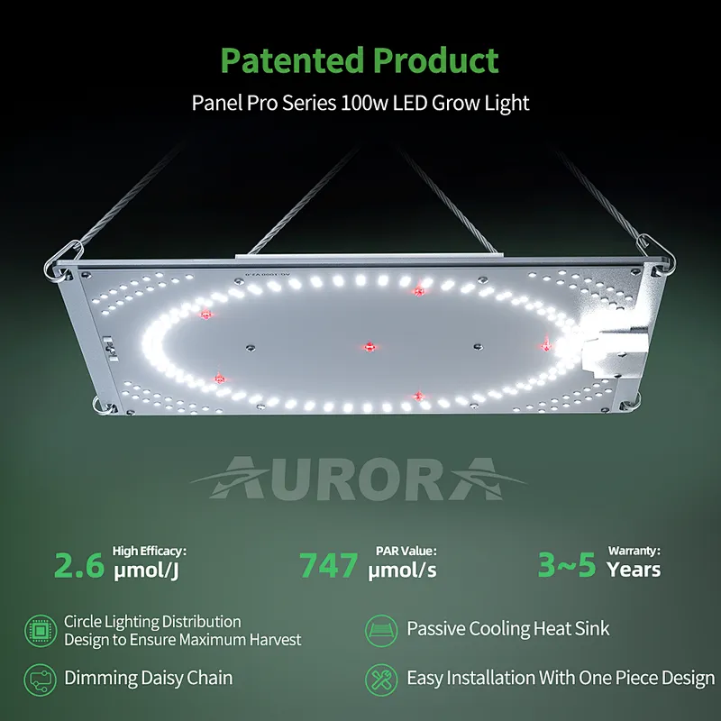Patented 100W 200W 300W board LED Grow Light with Uniform Light Distribution