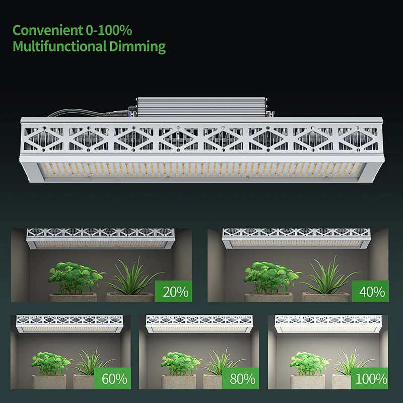 Full Spectrum 320W Led Grow Light For Greenhouse Grow