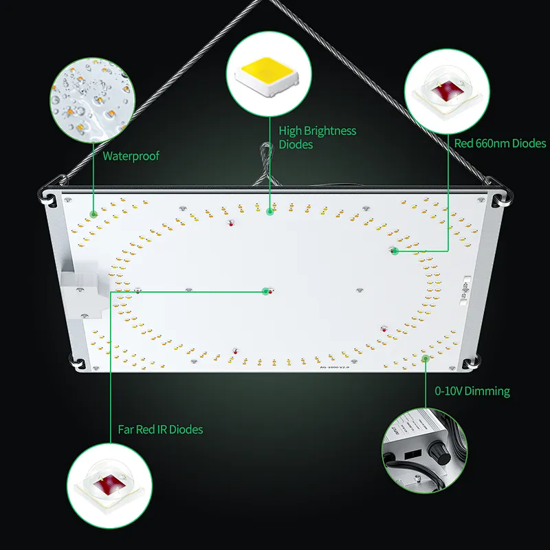 Patented 100W 200W 300W board LED Grow Light with Uniform Light Distribution